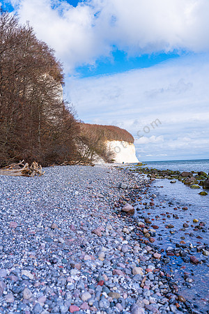 _DSC4395