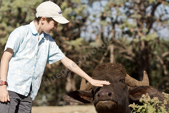 Simon und der Büffel auf der Farm Tenuta Vannulo