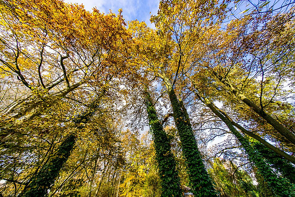 Herbstimpressionen