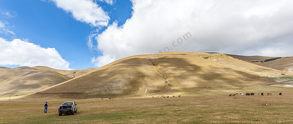 _MG_5050