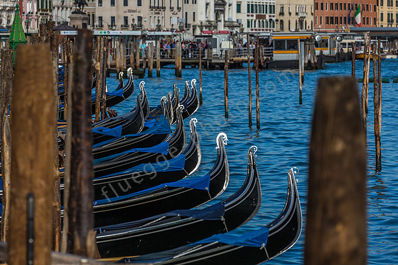 Gondolas in Venice