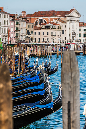 Gondolas in Venice