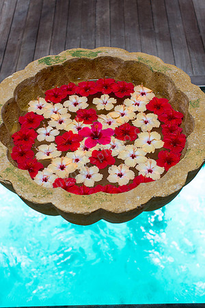 Impression im Spa: eine Schale mit Blüten