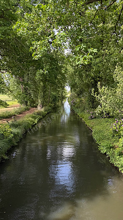 Wörlitzer Park