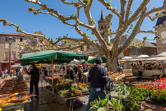 _MG_3403