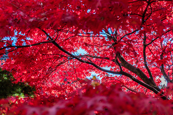 Herbstimpressionen