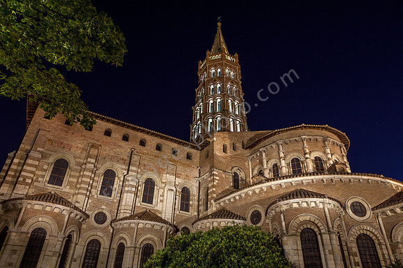 _MG_2686
