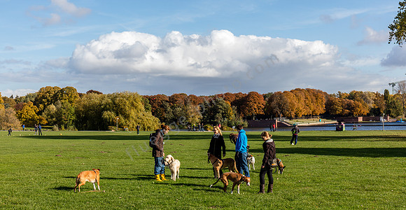 Stadtpark