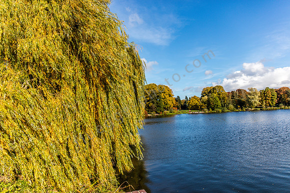 Stadtpark