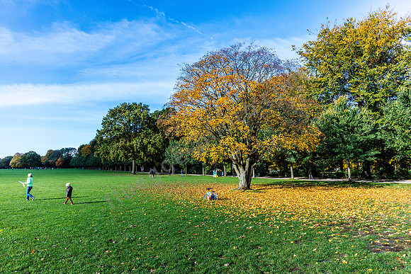 Stadtpark