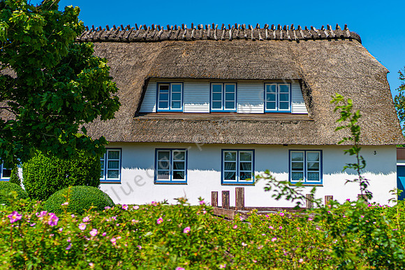 Reetgedecktes Haus an der Schlei