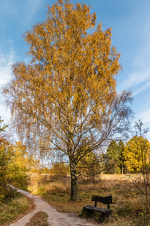 Herbstimpressionen