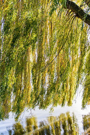 Stadtpark