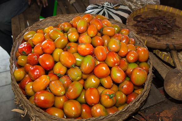 Fresh tomatoes from farm in a basket.