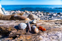 _DSC4273