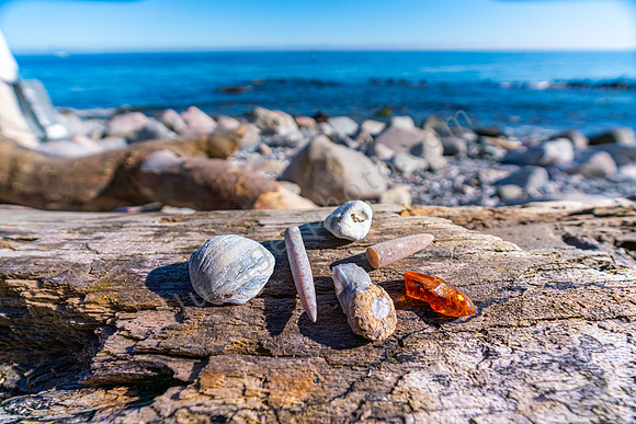_DSC4273