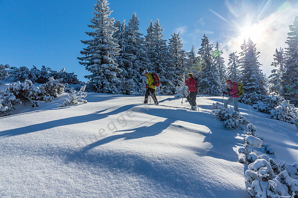 Frau Holle lässt grüßen: Am stimmungsvollsten lässt sich die Winterwunderwelt in den Bergen um das                   Tegernseer Tal beim Schneeschuhwandern entdecken