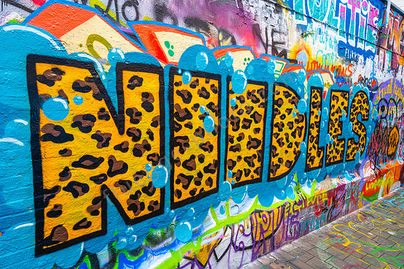 Die Graffiti-Gasse in Gent