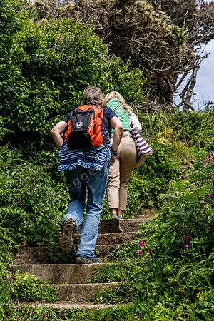Wandern auf der Insel Guernsey