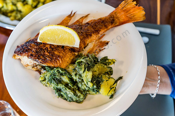 Skorpionfisch mit Mangold und Kartoffeln auf dem Schiff „Aria“
