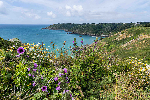 Petit Port Bay auf der Insel Guernsey