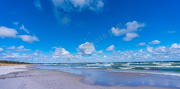 _DSC4472