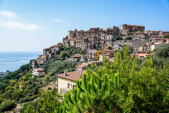 Pisciotta