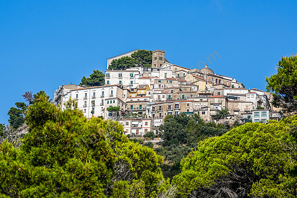 Pisciotta