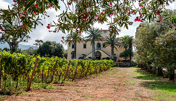 Tenuta La Chiusa