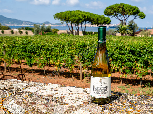 Tenuta La Chiusa