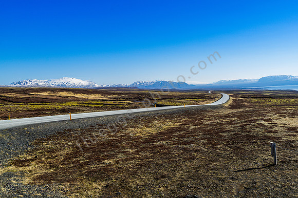 _DSC0092