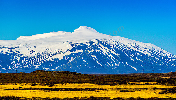 _DSC0320