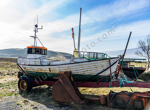 _DSC0450