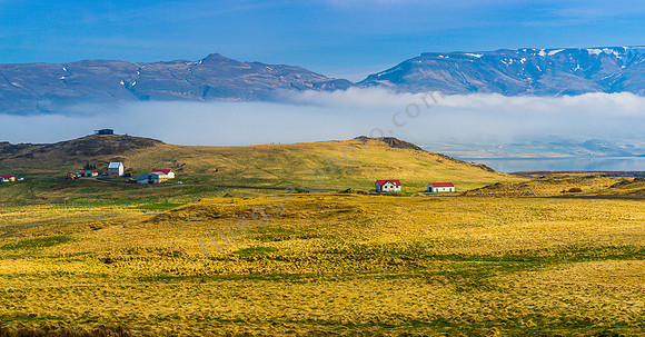 _DSC0421