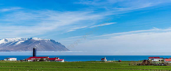 _DSC0805