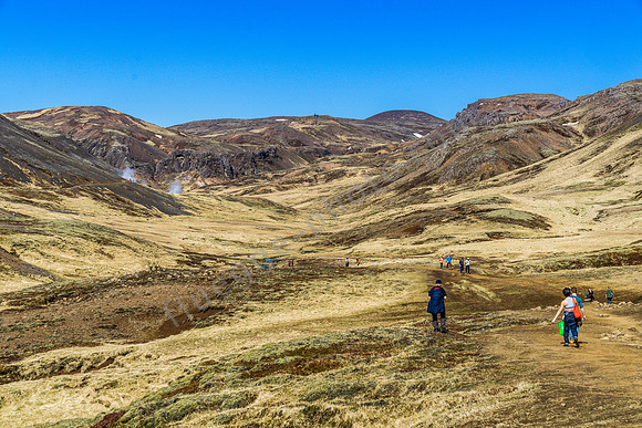 _DSC0881