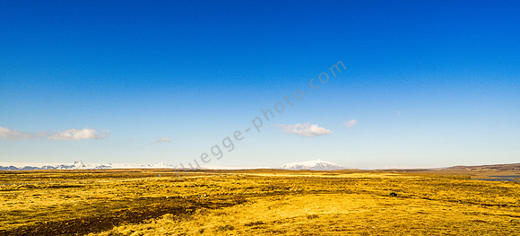 _DSC0310