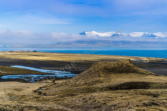 _DSC0419