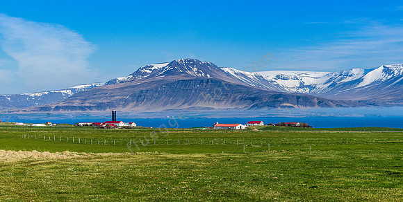 _DSC0797