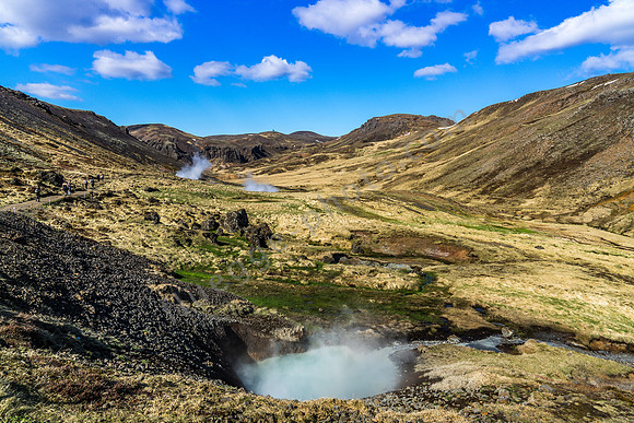 _DSC1008