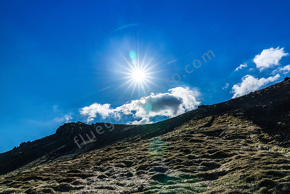 _DSC0986