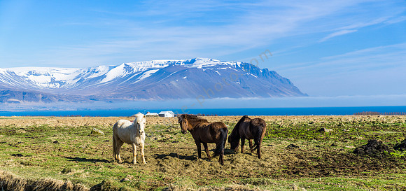 _DSC0774