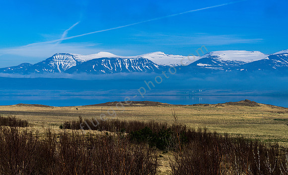 _DSC0423