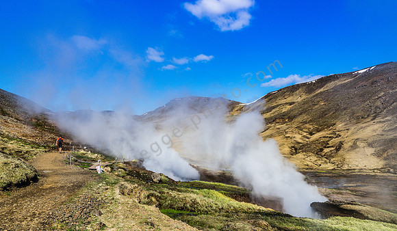 _DSC0917
