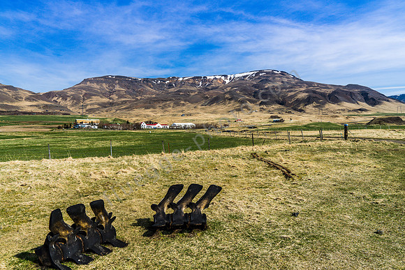 _DSC0702