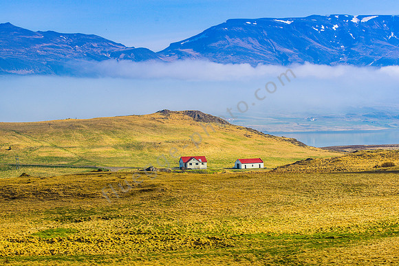 _DSC0425
