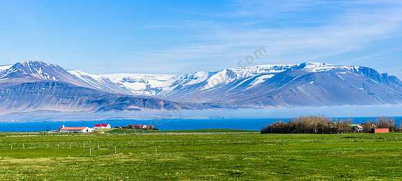 _DSC0795