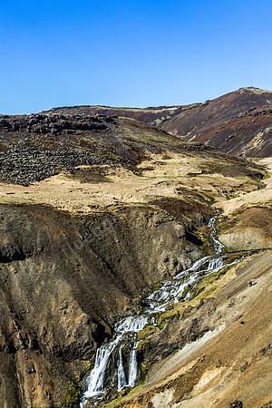 _DSC0879