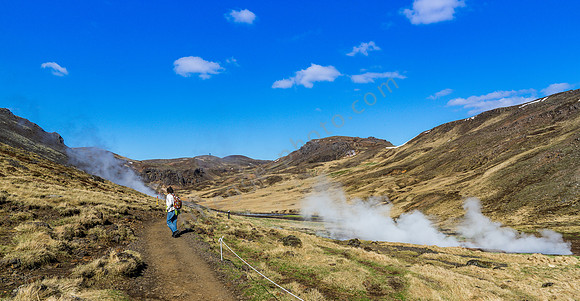 _DSC0901
