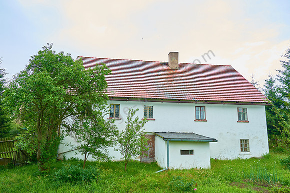Reibnitz 91
